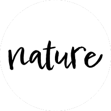 cuidado capilar longwell